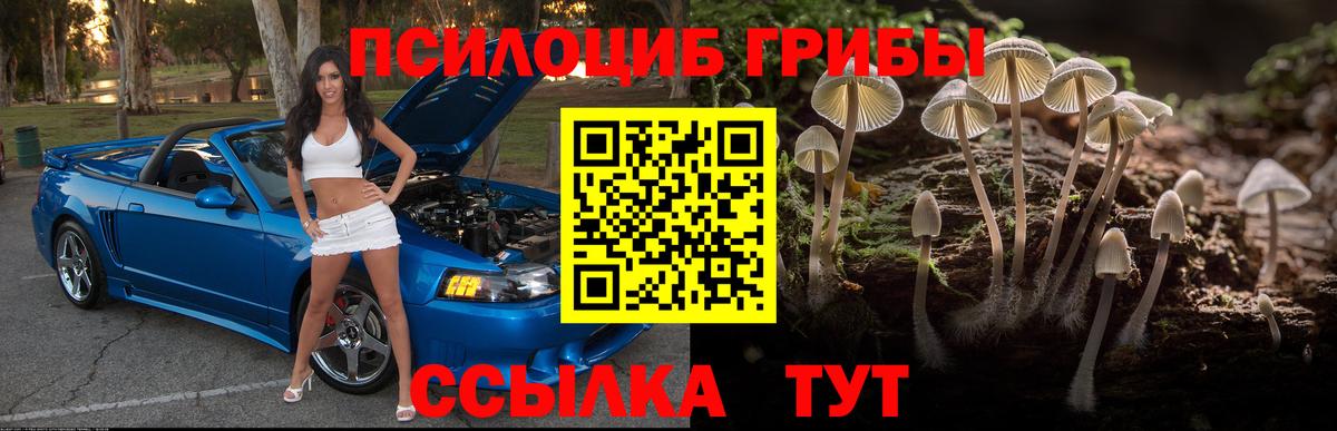 где найти   Вход с VPN  Ростов-на-Дону  Псилоцибиновые грибы MAGIC MUSHROOMS  Галлюциногенные грибы Cubensis 